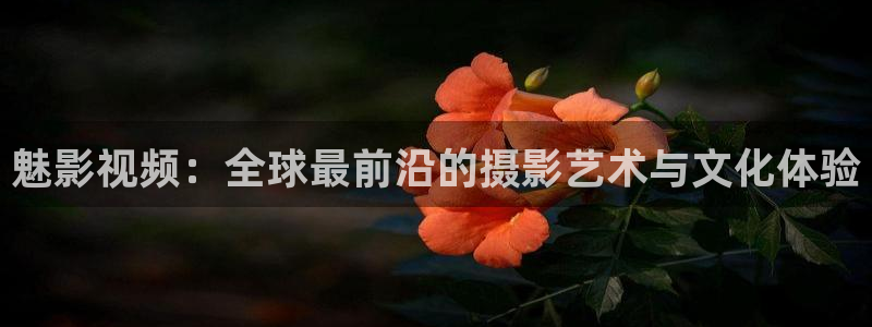 yy影院私人影院：魅影视频：全球最前沿的摄影艺术与文化体验