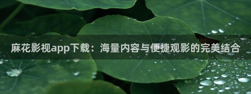 yy影院免费