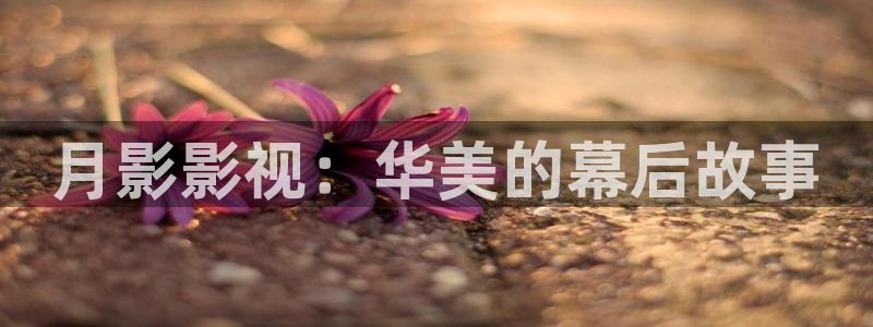 yy影院在线观看